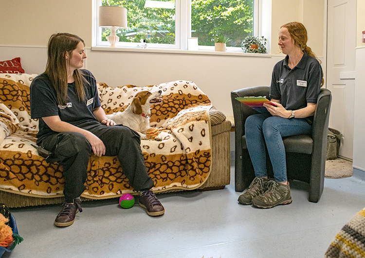 Keeping children safe around dogs Bath Cats & Dogs Home